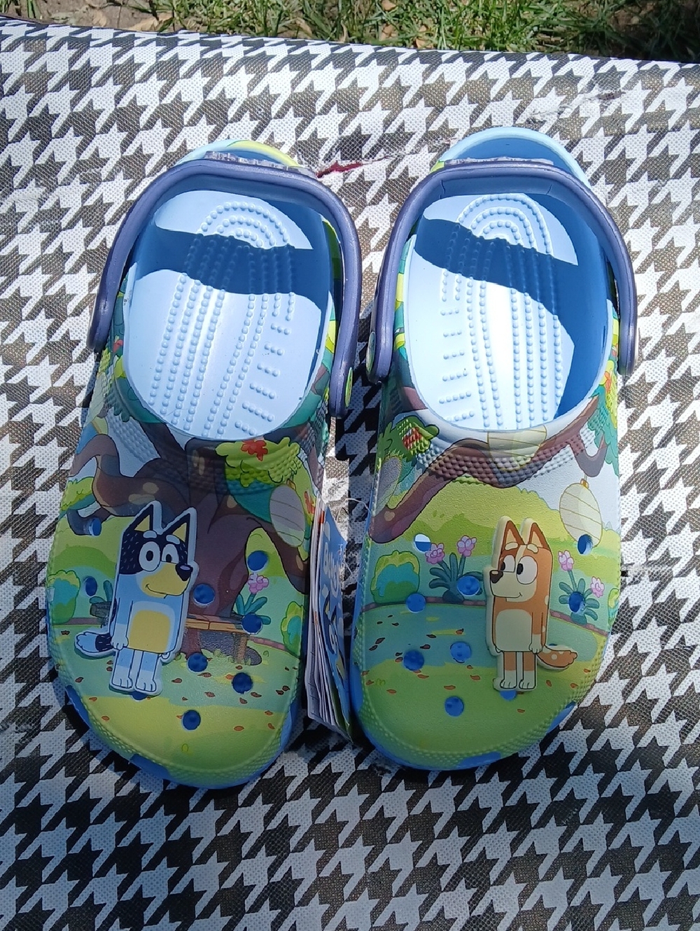 Lucy Kids Cartoon Clog Sandals in Green and Blue with Dog Characters
